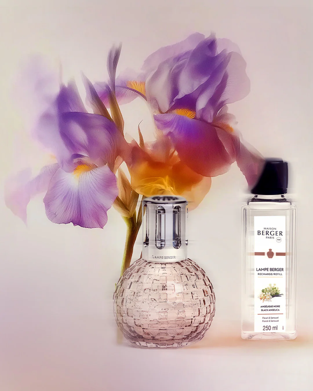 Disco Blush Fragrance Lamp Gift Set with Black Angelica - Image 6